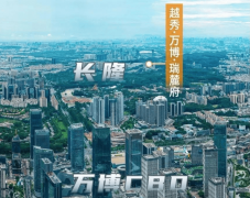 低矮的灌木和地被动物丰硕了景不雅的